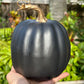 Pumpkins