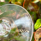 Wine Glasses Sets