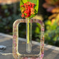 Propagation Vase
