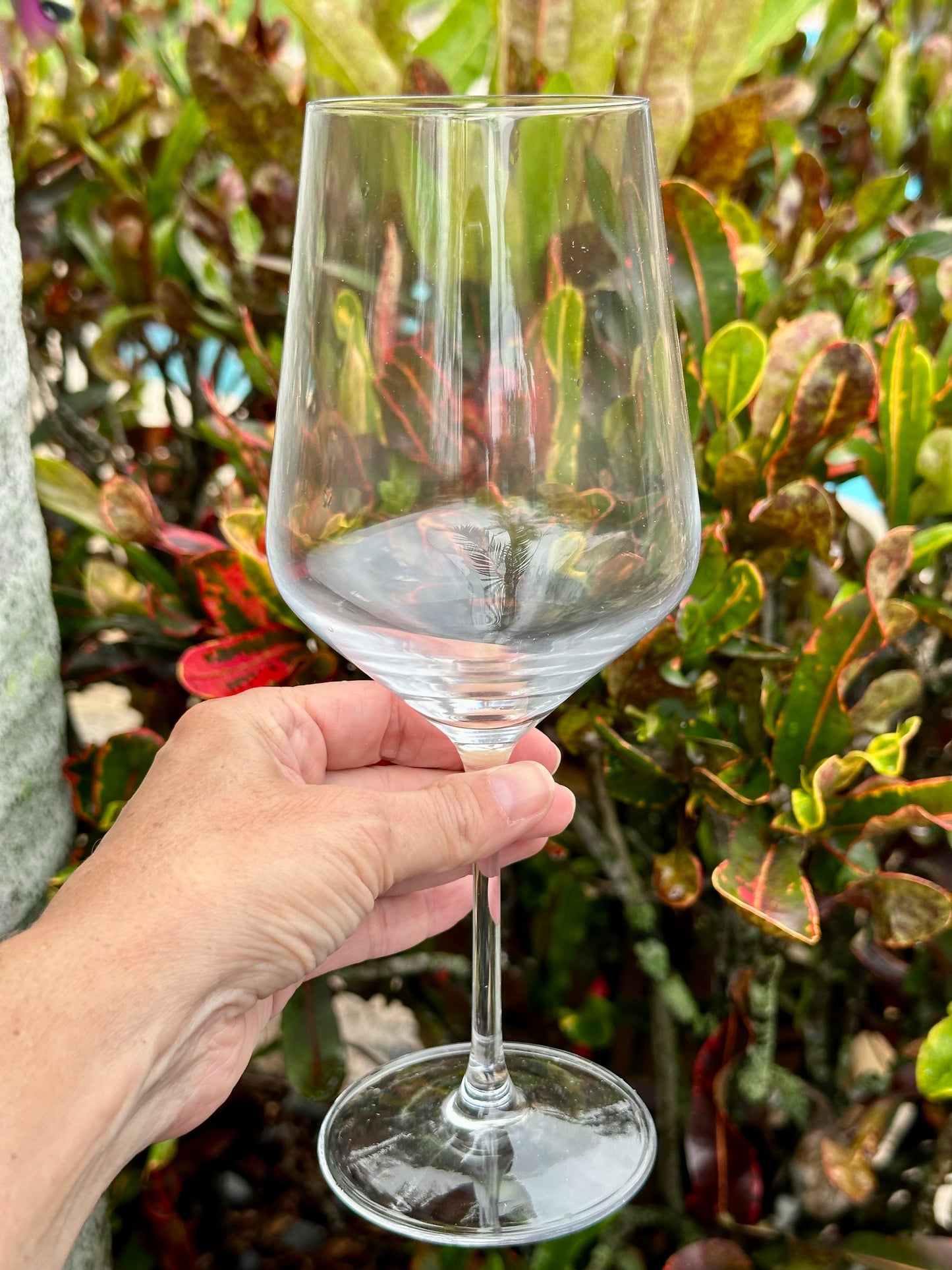Wine Glasses Sets