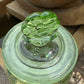 44oz Glass Storage w/Flower Lid