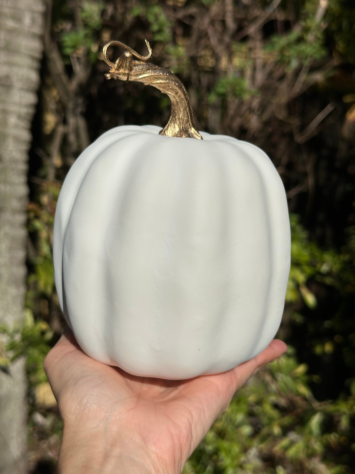 Pumpkins