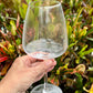 Wine Glasses Sets