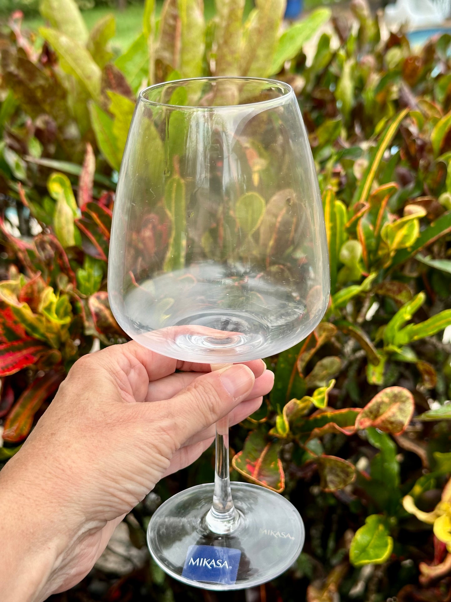Wine Glasses Sets