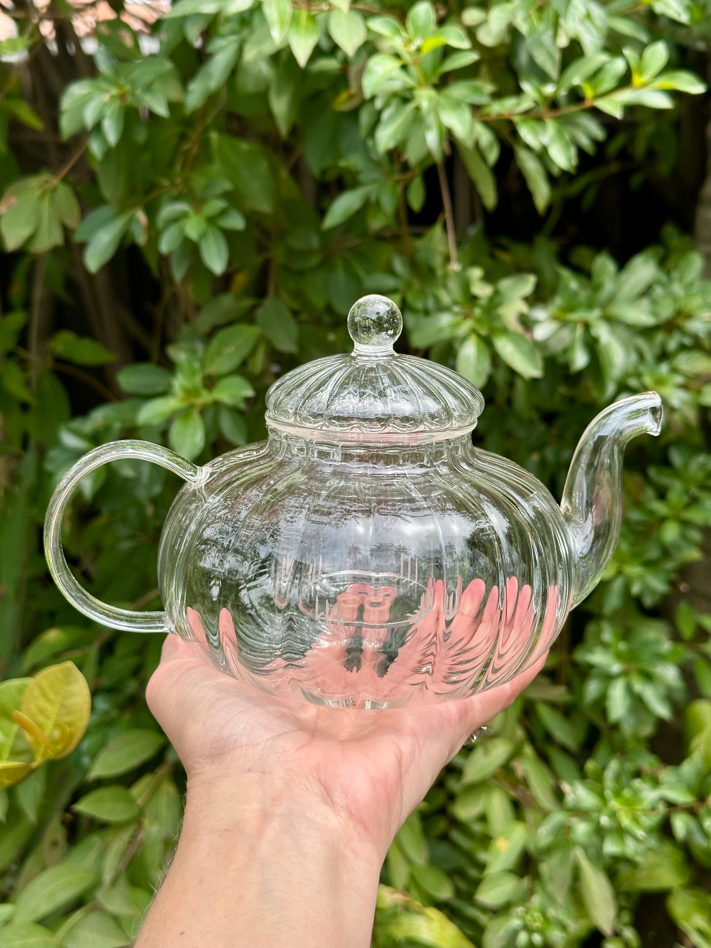 Glass TeaPots
